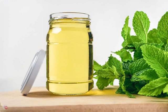 شربت خنک تابستانی/ شربت نعنا