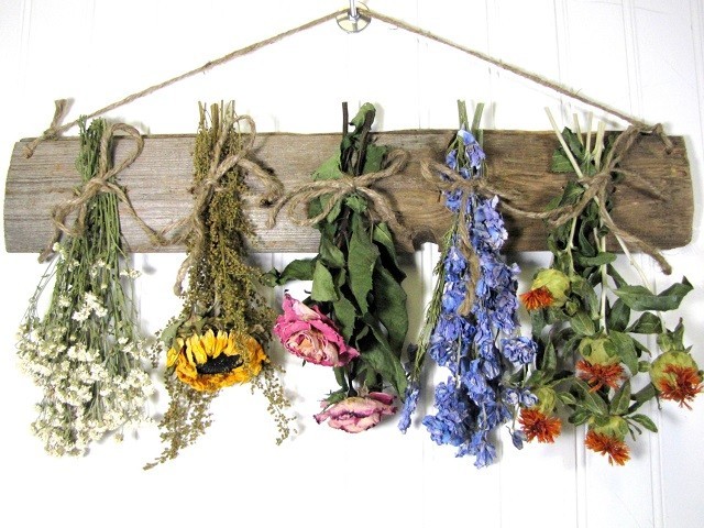 بهترین روش های خشک کردن انواع گل طبیعی کدامند؟