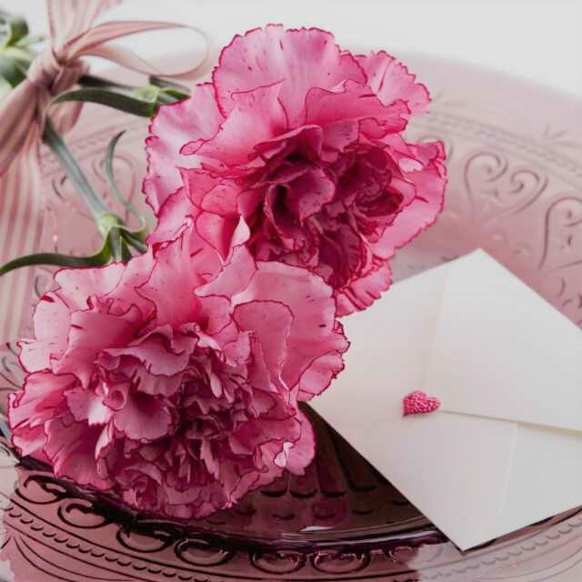 معرفی سمبل و نشانه محبوب‌ترین و پرفروش‌ترین گل‌های روز ولنتاین در سراسر دنیا 