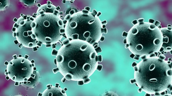 تقویت سیستم ایمنی بدن برای پیشگیری از کرونا ویروس