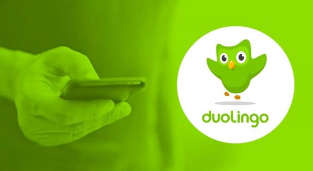 اپلیکیشن یادگیری زبان Duolingo