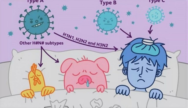 فرق آنفولانزا فصلی و آنفولانزا H1N1 با سرماخوردگی در هر دو گروه کودکان و بزرگسالان چیست؟