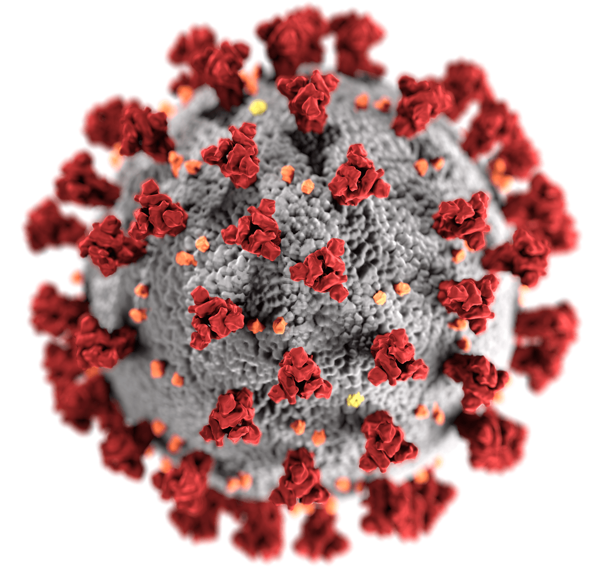 10 خبر خوب در مورد پیشگیری و درمان کرونا ویروس کووید 19 که امیدوارمان می‌کنند