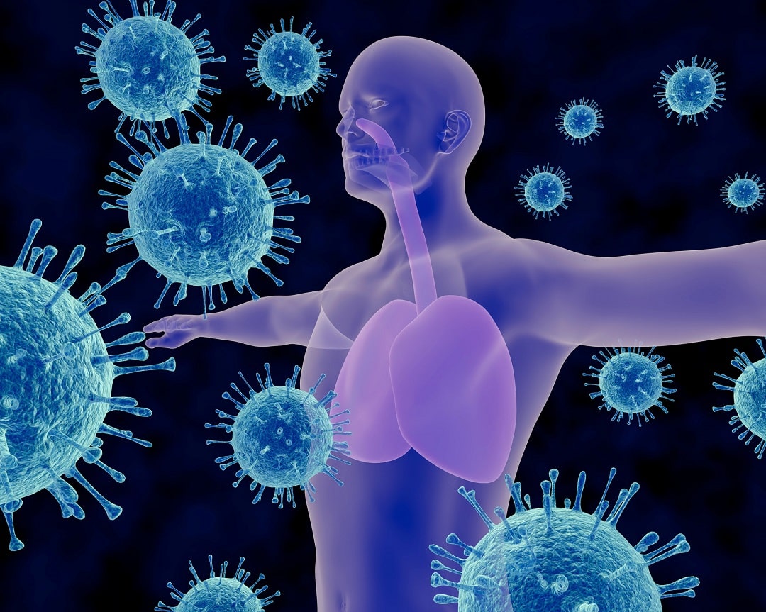 واکنش سیستم ایمنی بدن در برابر ویروس کرونا