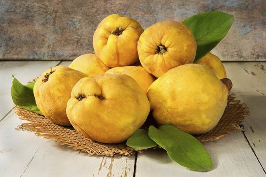 40 خواص و عوارض عجیب میوه برای سلامت بدن + طبع و مصلح به