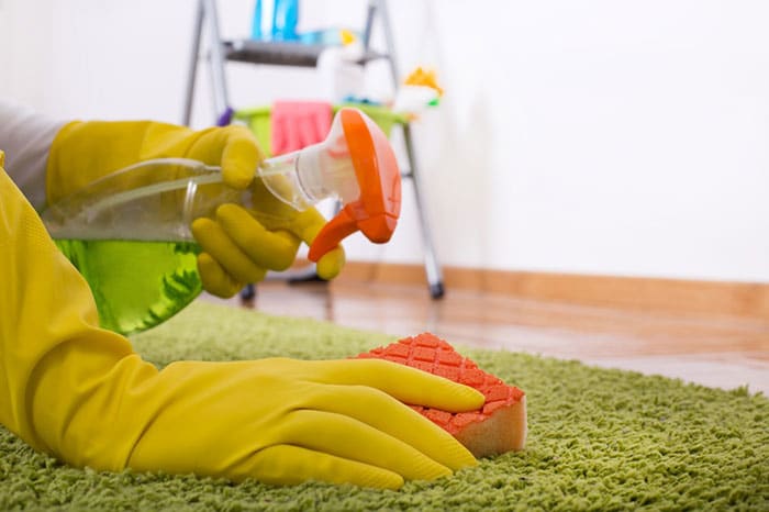 15 محلول جادویی برای تمیز کردن انواع فرش و قالی