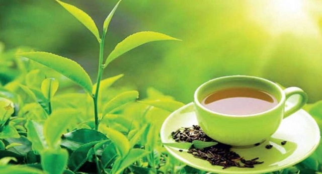 کلام پایانی درباره انواع دمنوش و چای گیاهی