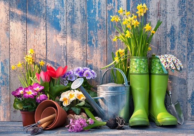 رسیدگی به خاک باغچه و گلدان ها در بهار