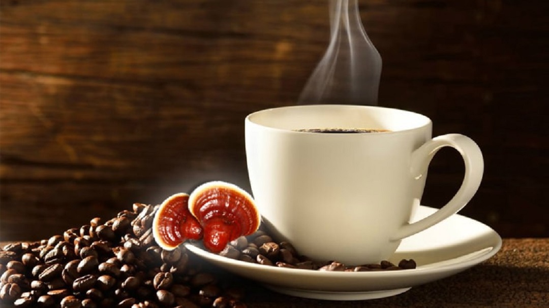 17 خواص درمانی شگفت انگیز و معجزه آسای قهوه قارچ گانودرما