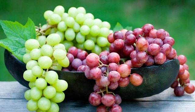 انگور؛ میوه متنوع و پر خاصیت تابستانی