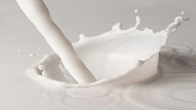 کیفیت کدام شیر بالاتر است؛ ماست پاستوریزه یا سنتی؟