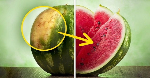 برای تشخیص هندوانه خوب با دقت به شکم آن نگاه کنید