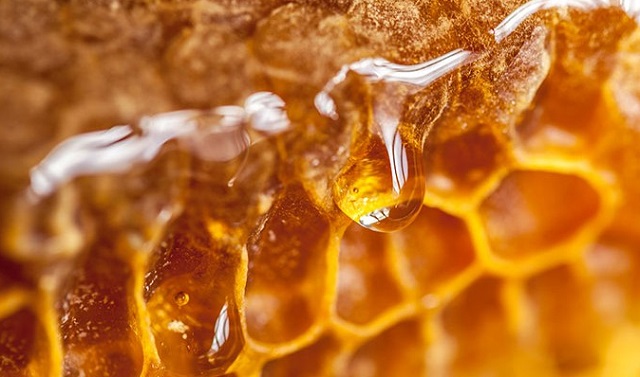  برای تشخیص عسل واقعی از تست زرده تخم مرغ استفاده کنید
