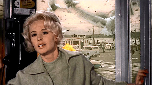 «پرندگان (۱۹۶۳)» شاهکار دیگری از هیچکاک برگرفته از ماجراهای واقعی