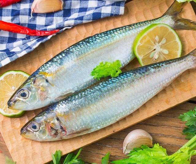 ماهی ساردین، از مواد غذایی سنگ ساز کلیه