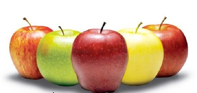 انواع سیب ها در طعم و رنگ های مختلف میوه های فصل بهار و تابستان و پاییز و زمستان