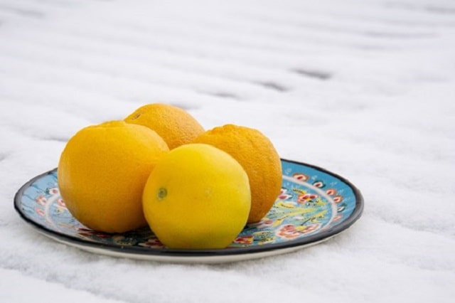 طبع و مصلح لیمو شیرین در طب سنتی