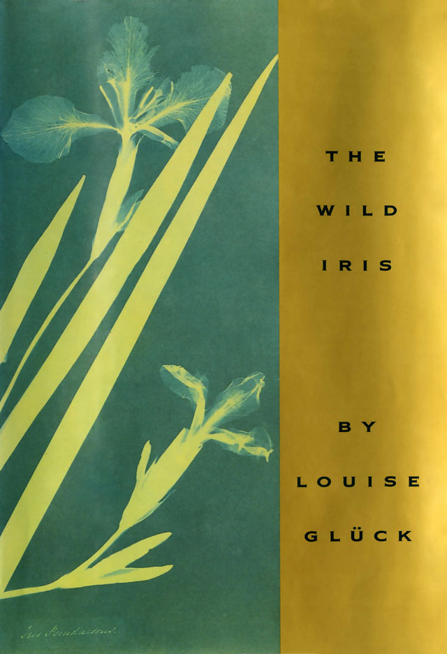 انتشار «زنبق وحشی» و آغاز پربارترین دوره زندگی ادبی لوییز گلیک
