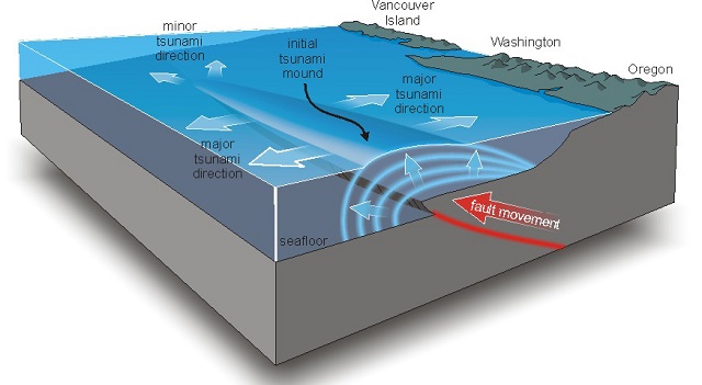 چگونه می توان پدیده سونامی (Tsunami) را تشخیص داد؟