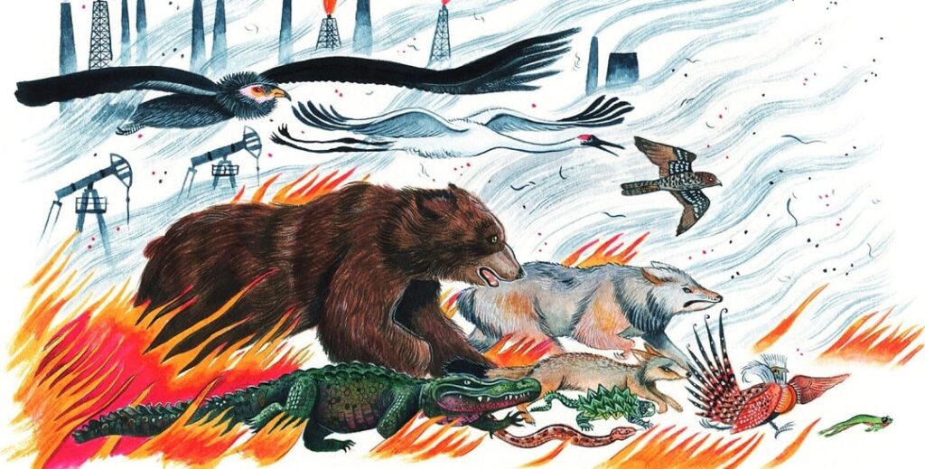 8 روش حفاظت از گونه‌های در خطر انقراض گیاهی و جانوری + لیست آن ها