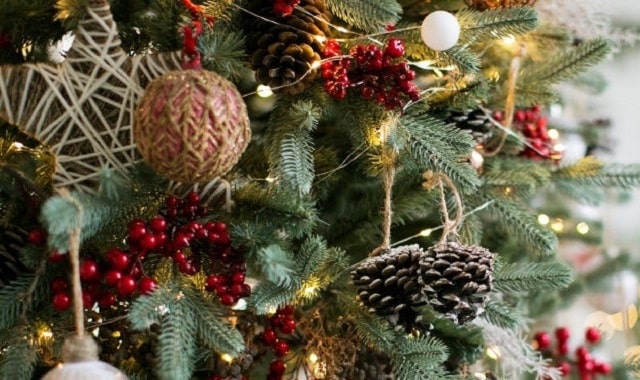 تزئین درخت کریسمس با میوه کاج