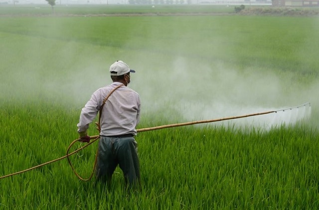 فعالیت‌های کشاورزی از عوامل اصلی آلودگی هوا