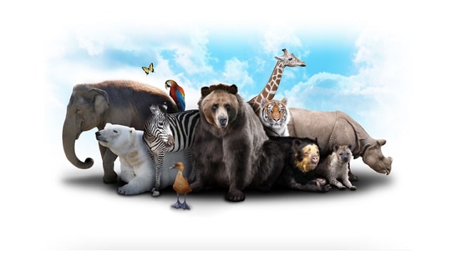 وضعیت گونه‌های جانوری در حال انقراض ایران