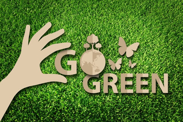 ضرورت و اهمیت بازاریابی سبز (Green marketing)