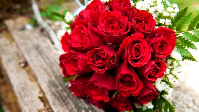 گل قرمز، نماد عشق پر شور و انتخابی لوکس در روز ولنتاین