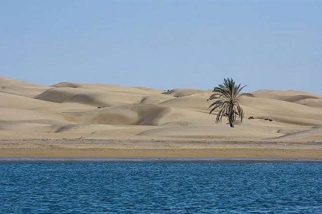 ساحل درک در دریای عمان