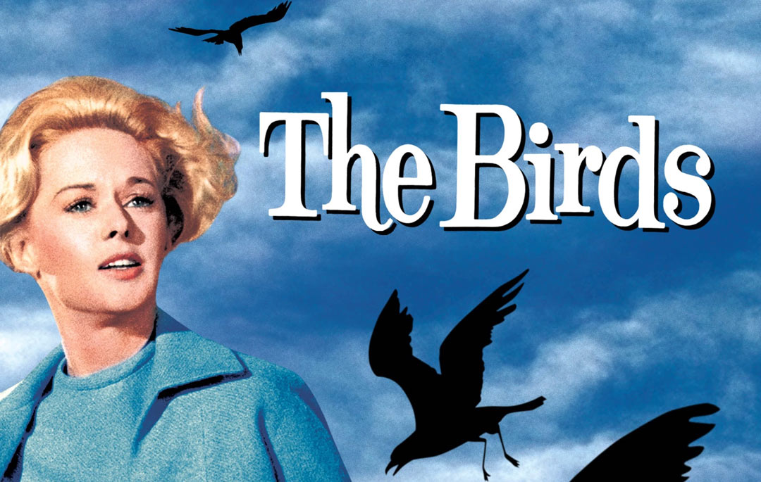 نگاهی به فیلم پرندگان (The Birds)