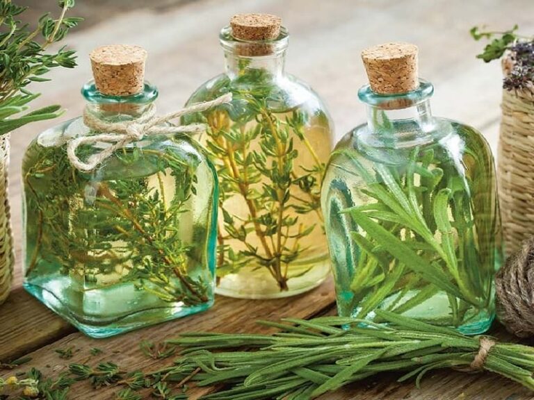 10 عرقیات گیاهی برای رفع عطش و تشنگی روزه‌داران