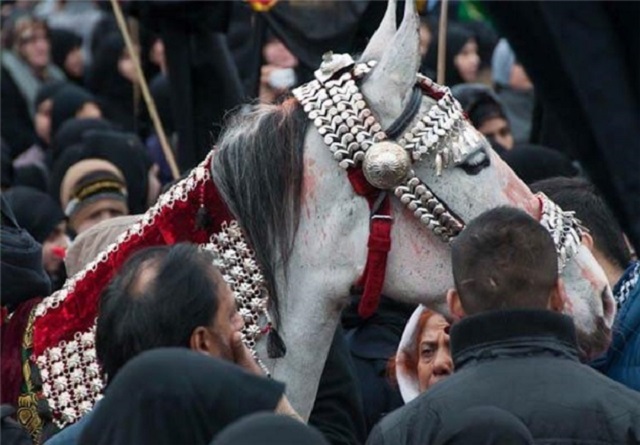 رسم گرداندن اسب ذوالجناح در میان عزاداران