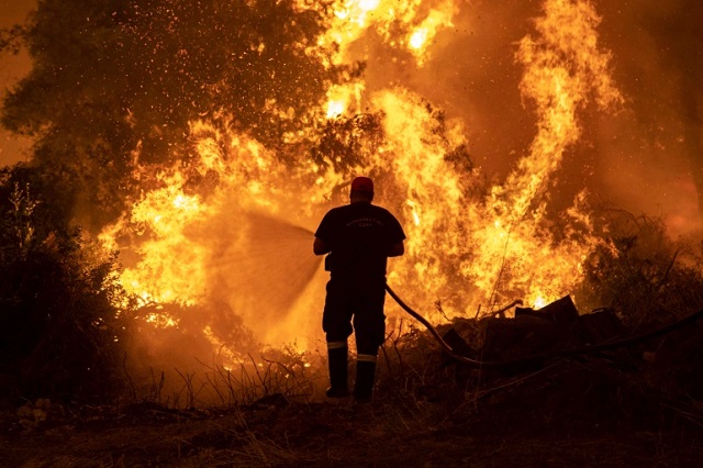 عوامل بروز آتش سوزی جنگل در تابستان چیست؟