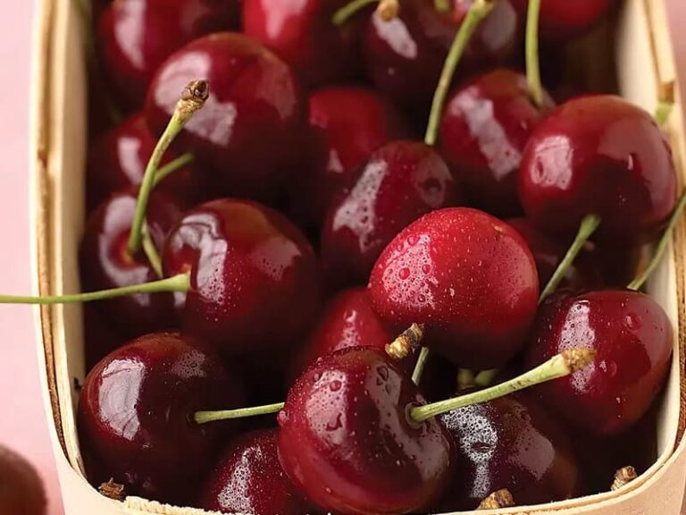 10 روش نگهداری گیلاس و کمپوت گیلاس برای مدت طولانی