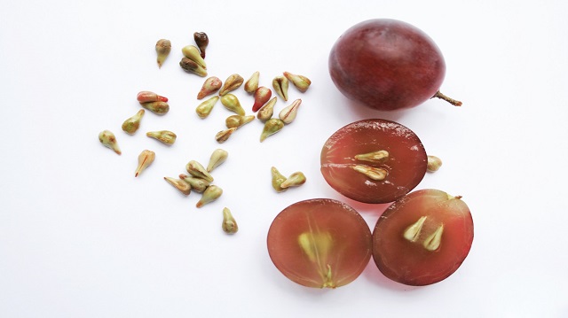 خواص و فواید هسته انگور برای سرطان