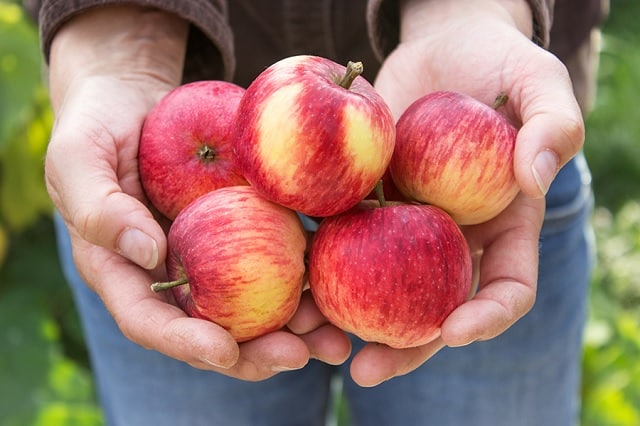 درمان پف زیر چشم با سیب