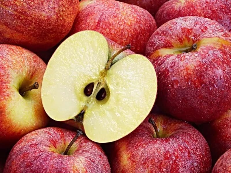 18 خواص هسته سیب | خوردن هسته سیب باعث مرگ می شود؟