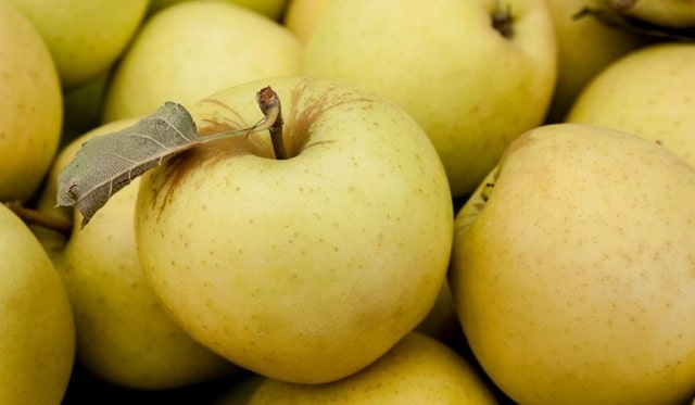 جوانسازی پوست با سیب