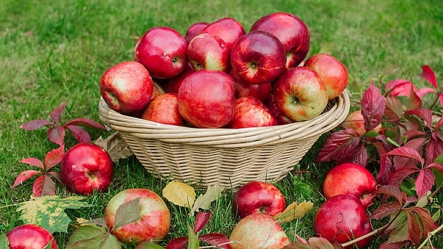 درمان آب مروارید با سیب