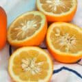 36 خواص نارنج برای درمان بیماری ها و مضرات آن + طبع و مصلح نارنج