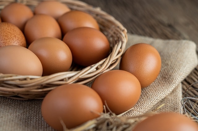 بهبود عملکرد مغز از فواید تخم مرغ