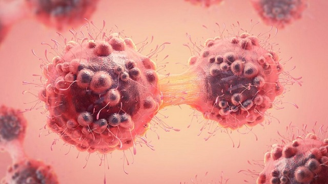 نقش روزه داری بر سلول‌های سرطانی دستگاه گوارش