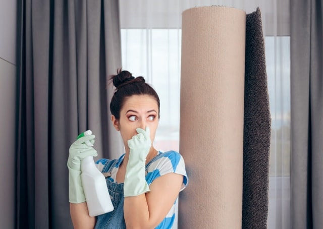 با ۲۲ روش از بین بردن بوی بد فرش آشنا شوید