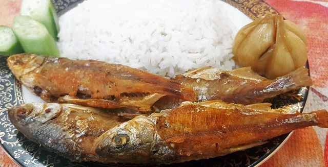 ماهی کولی سوخاری، کبابی و ساندویچی