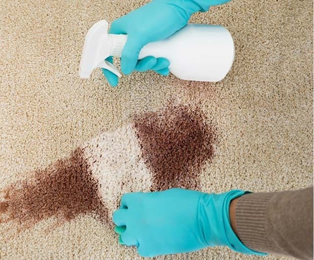 روش شستن و تمیز کردن لکه فرش روشن