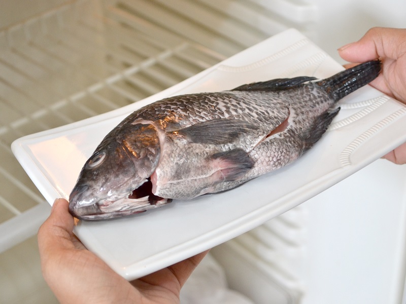 ۱۰ راهکار ساده و فوری از بین بردن بوی بد ماهی در یخچال و فریزر