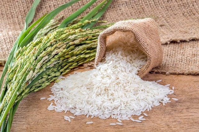به یکدست بودن دانه‌های برنج دقت کنید