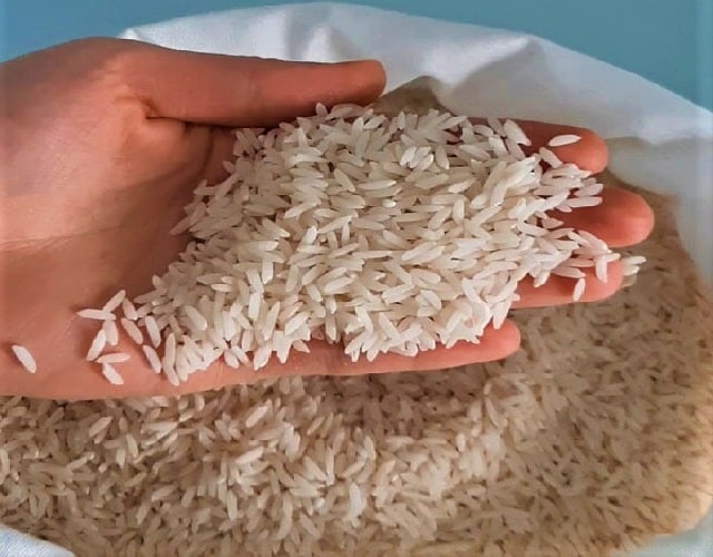 برنج ایرانی اصل باید کپک بزند