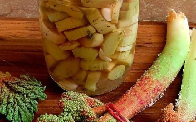 مراحل طرز تهیه ترشی ریواس ساده